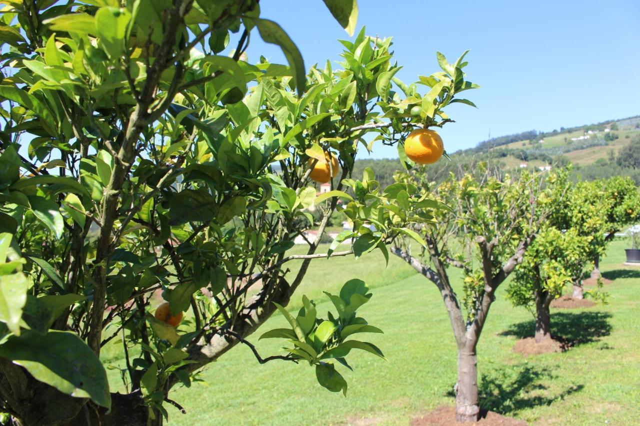 Posada El Campo Secadura Exteriör bild
